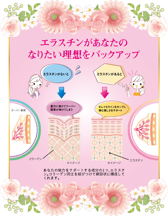 なりたい理想をバックアップ